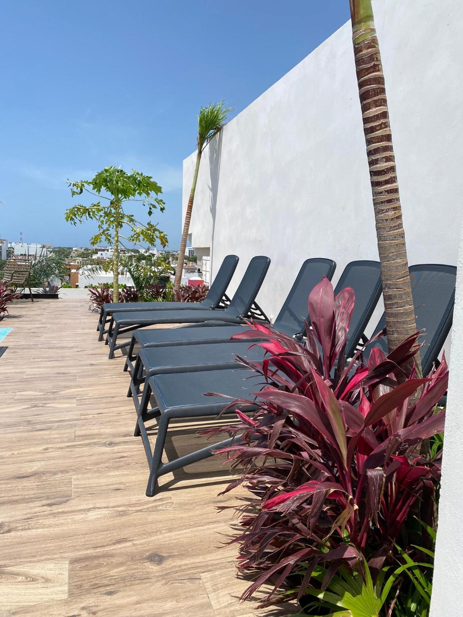 369 "The Best Aparments Near 5Th Av " Urbantowers Playa del Carmen Exterior photo